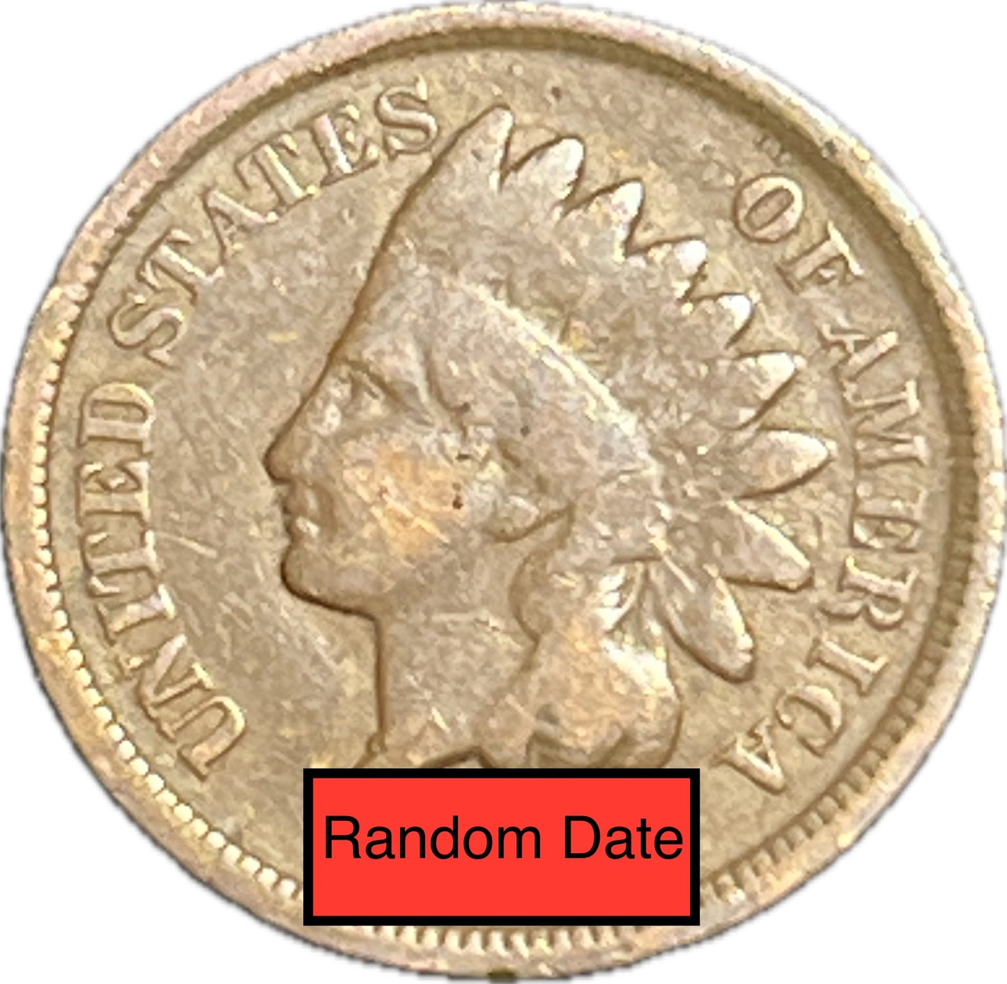 1880-1909 Indian Head COPPER Bronze Cents/Pennies - Mixed Dates